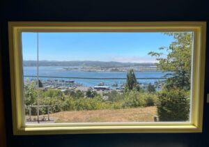 Privacy Window Tint Oregon